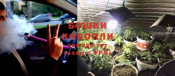 спайс Аркадак