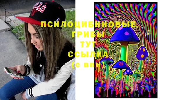 спайс Аркадак